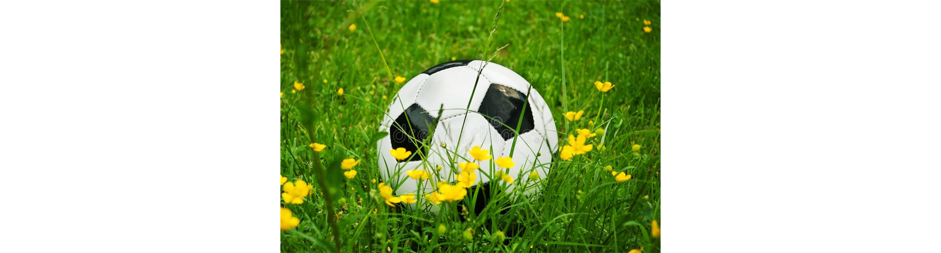 Sw Wa Youth Soccer Association Team Central Store Home
